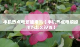 手机热点电脑能用吗（手机热点电脑能用吗怎么设置）
