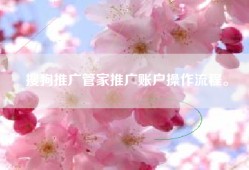 搜狗推广管家推广账户操作流程。