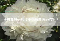 手机能换cpu吗（手机能更换cpu吗？）