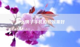 什么牌子手机拍照效果好