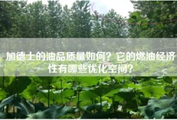 加德士的油品质量如何？它的燃油经济性有哪些优化空间？