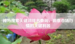 神马搜索关键词排名查询，洞察市场行情的关键利器