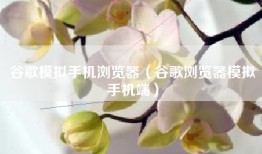 谷歌模拟手机浏览器（谷歌浏览器模拟手机端）