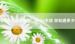 网站“盲目推进”的SEO手段 你知道多少