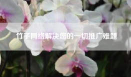 竹子网络解决您的一切推广难题