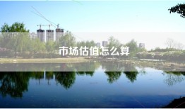市场估值怎么算