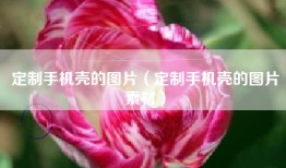 定制手机壳的图片（定制手机壳的图片素材）