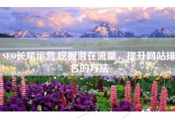 SEO长尾运营,挖掘潜在流量，提升网站排名的方法