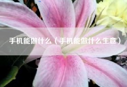 手机能做什么（手机能做什么生意）