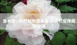 童养媳14岁产女频遭家暴 已受理离婚申请