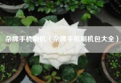 杂牌手机刷机（杂牌手机刷机包大全）