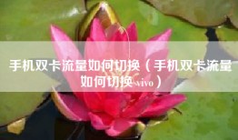 手机双卡流量如何切换（手机双卡流量如何切换 vivo）