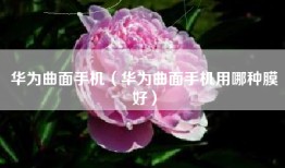 华为曲面手机（华为曲面手机用哪种膜好）