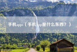 手机apps（手机App是什么东西？）