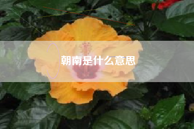 朝南是什么意思