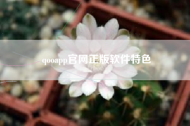 qooapp官网正版软件特色