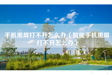 手机黑屏打不开怎么办（智能手机黑屏打不开怎么办）