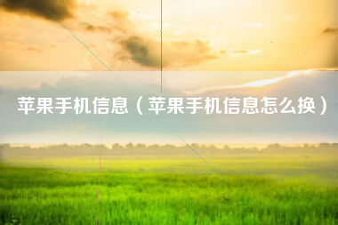 苹果手机信息（苹果手机信息怎么换）