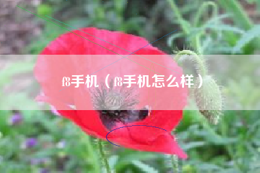 f8手机（f8手机怎么样）