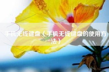 手机无线键盘（手机无线键盘的使用方法）