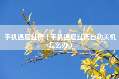 手机温度过低（手机温度过低自动关机怎么办）