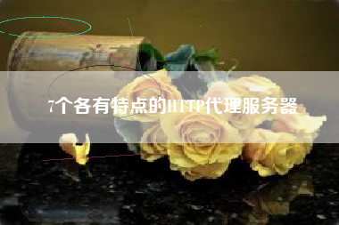 7个各有特点的HTTP代理服务器