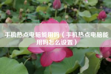 手机热点电脑能用吗（手机热点电脑能用吗怎么设置）