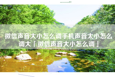 微信声音大小怎么调手机声音太小怎么调大「微信声音大小怎么调」