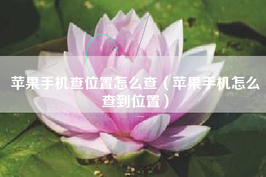 苹果手机查位置怎么查（苹果手机怎么查到位置）