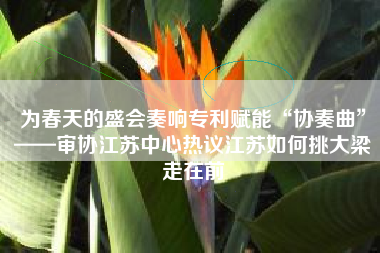 为春天的盛会奏响专利赋能“协奏曲”——审协江苏中心热议江苏如何挑大梁走在前